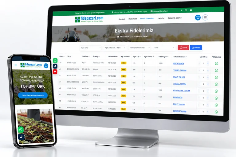 FidePazarı web sitesinin masaüstü ve mobil görünümünü gösteren mockup